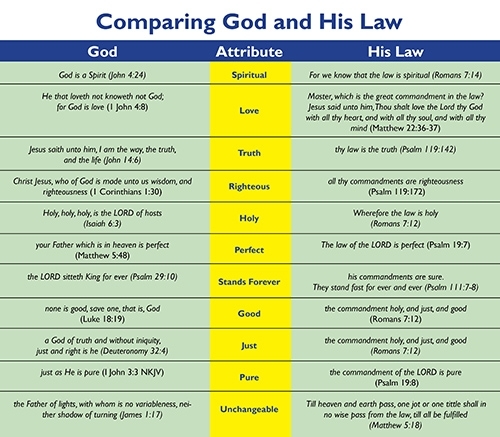 Jesus And The Sabbath Gods Law Sabbath Commandment 