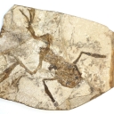 CC Kelvin Walsh on Flickr http://www.flickr.com/photos/86624586@N00/11207971/