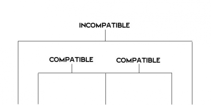 Incompatible Food Chart